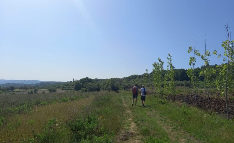 Panoramico, vario, adatto a tutti ma allo stesso tempo avventuroso, un giro sorprendente tra le tante facce delle nostra terra