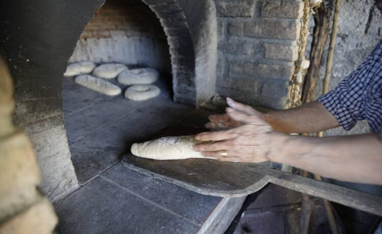 Un’appassionante interpretazione della tipica giornata contadina dedicata al culto rurale del pane casareccio come si faceva una volta