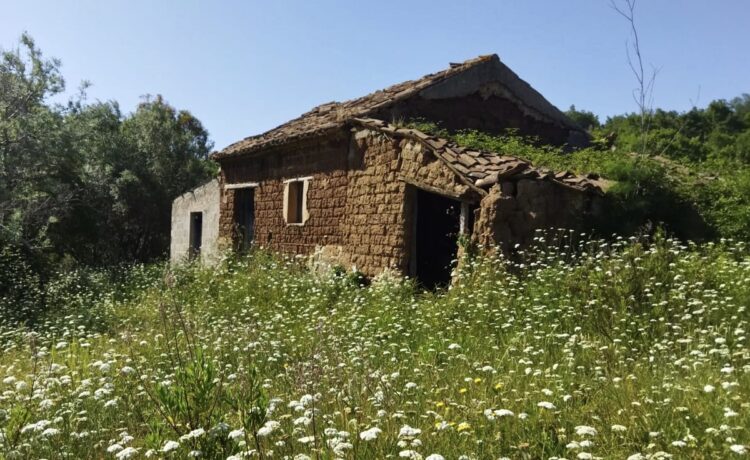 Alla scoperta dell’architettura in terra cruda nel nostro territorio tra borghi e paesaggi rurali