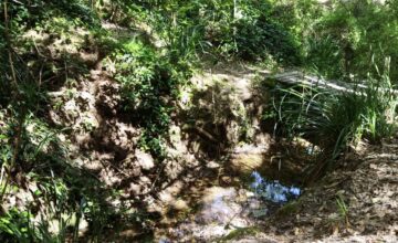 Zambrone e l’acqua: una relazione antica come la storia