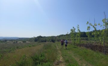 Trekking dalla Marina al Monte